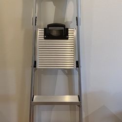 Little Giant Ladder
