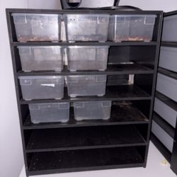 Snake Rack /hatchling Rack 