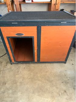 Retriever dog house need gone