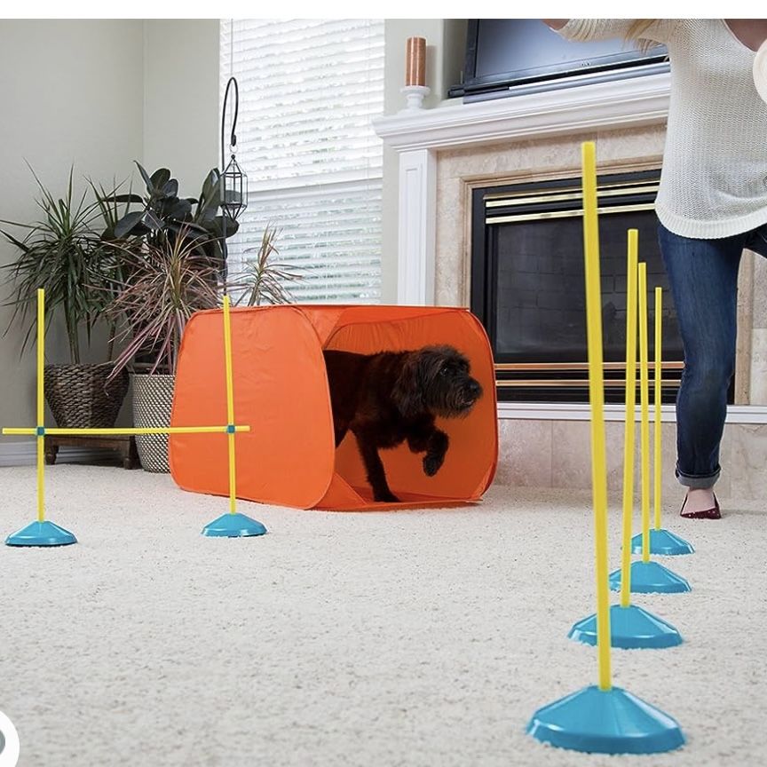 Outward Hound Zip & Zoom Indoor Dog Agility Training Kit for Dogs