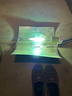 Metal Halide Grow Light