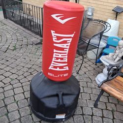 Everlast Elite Punching Bag 