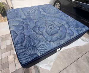 Serta Sleeper Oasis Sleep 15" Plush Pillow Top Mattress (1 King), ✨Like New