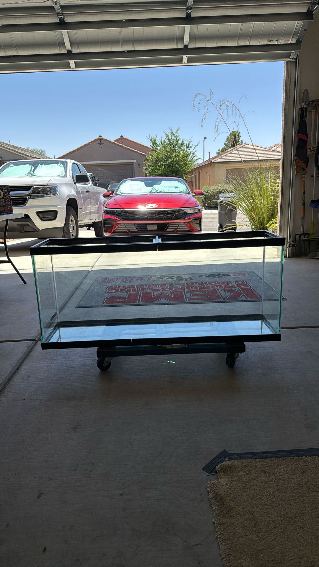 48 Inch Terrarium