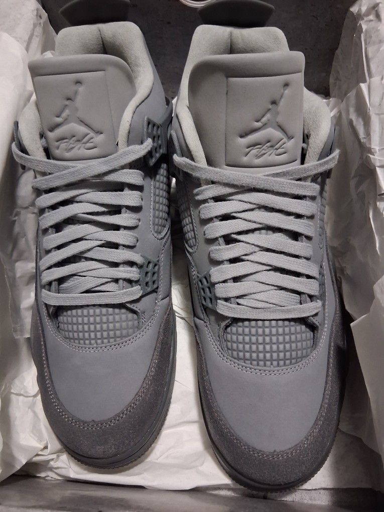 Jordan Retro 4s Mens 11.5