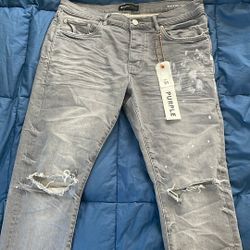 Purple Brand (Size 31)
