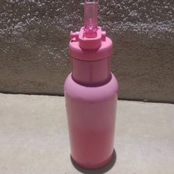 Pink Metal Sippy Water Bottle 