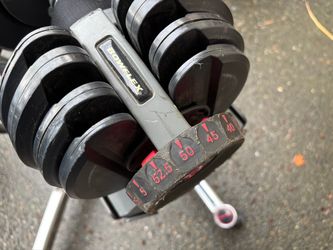 Bowflex Select Tech 552 Dumbbell Set with Stand