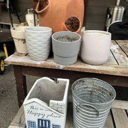 Plant Pots 