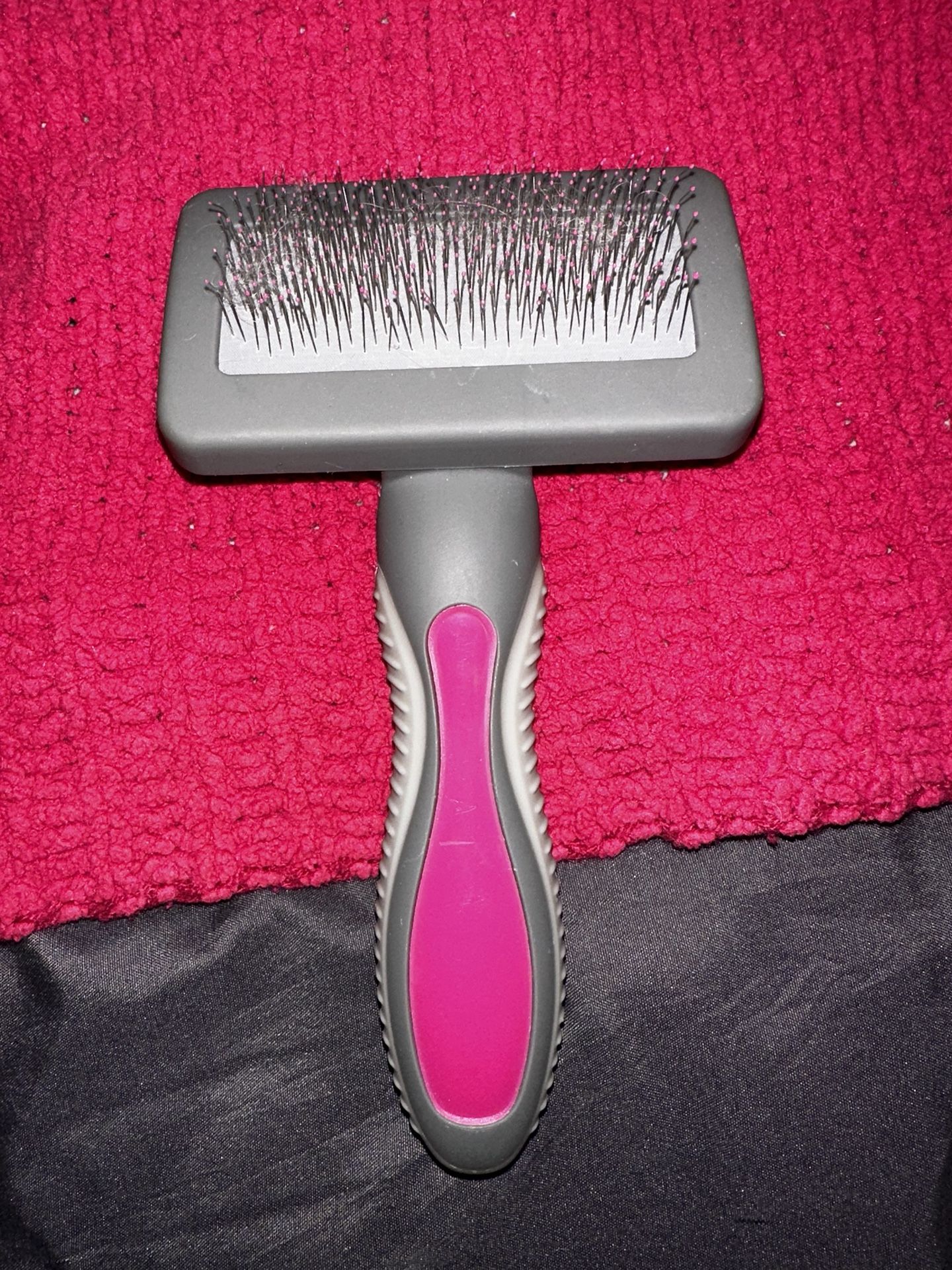 Doggy Brush