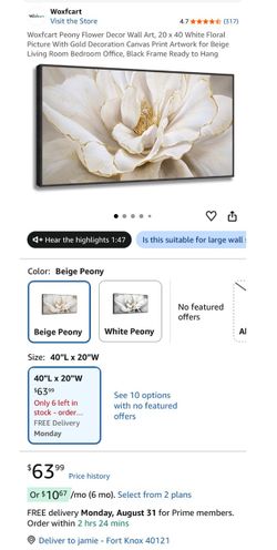 Peony floral wall canvas framed