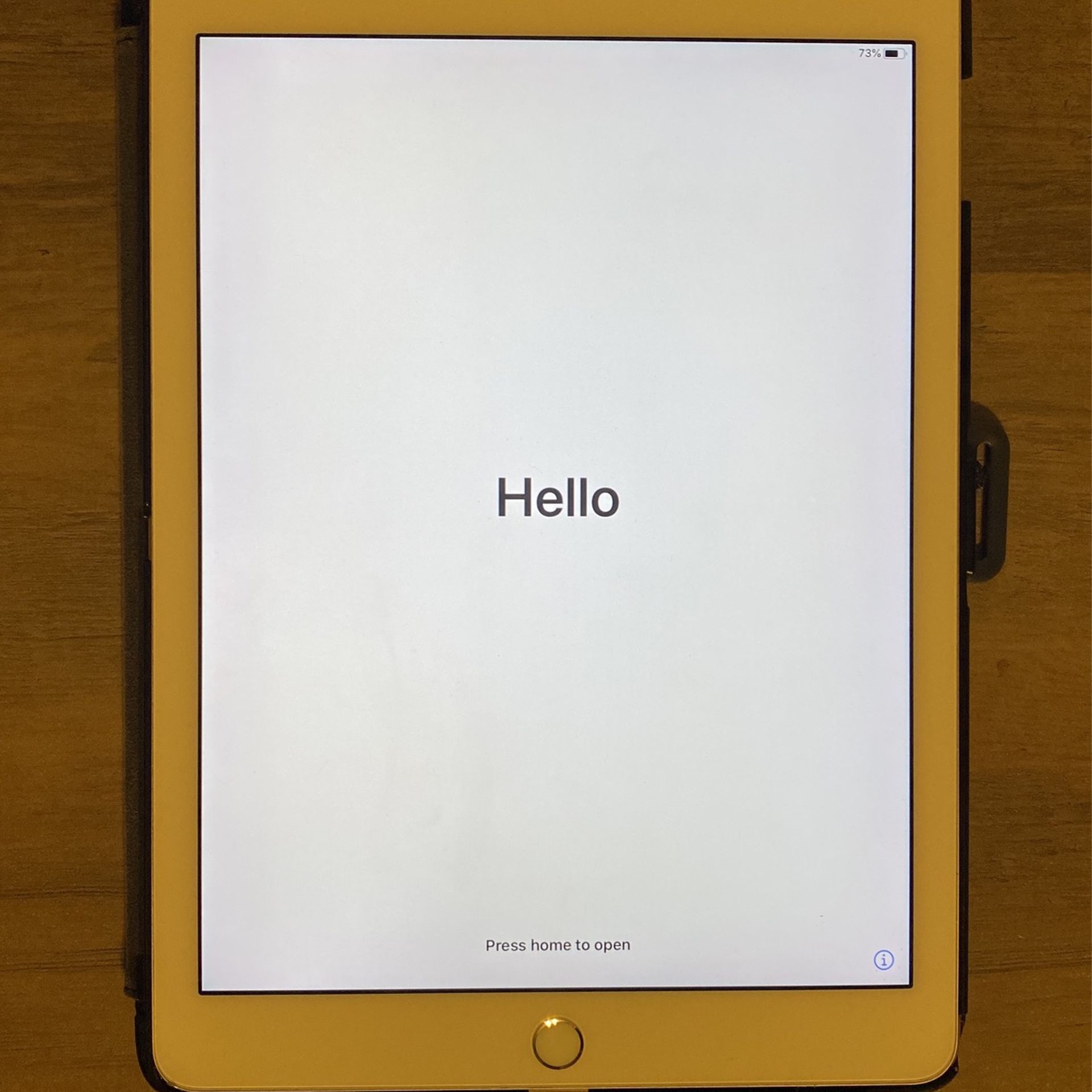 iPad Pro 9.7in