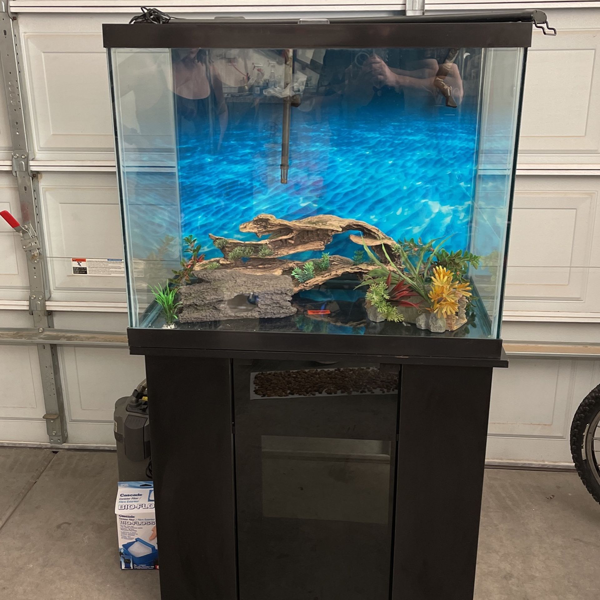 56 Gallon Aquarium 