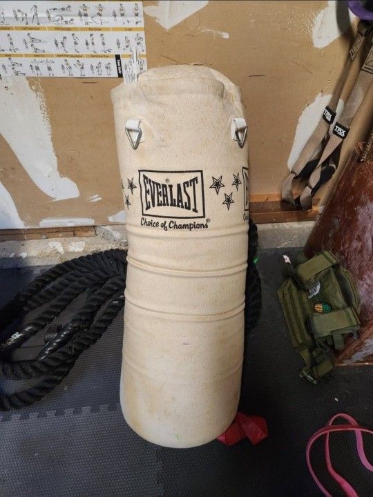 Everlast PUNCHING Bag (100lb)