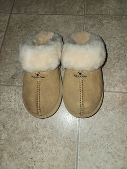 Bearpaw