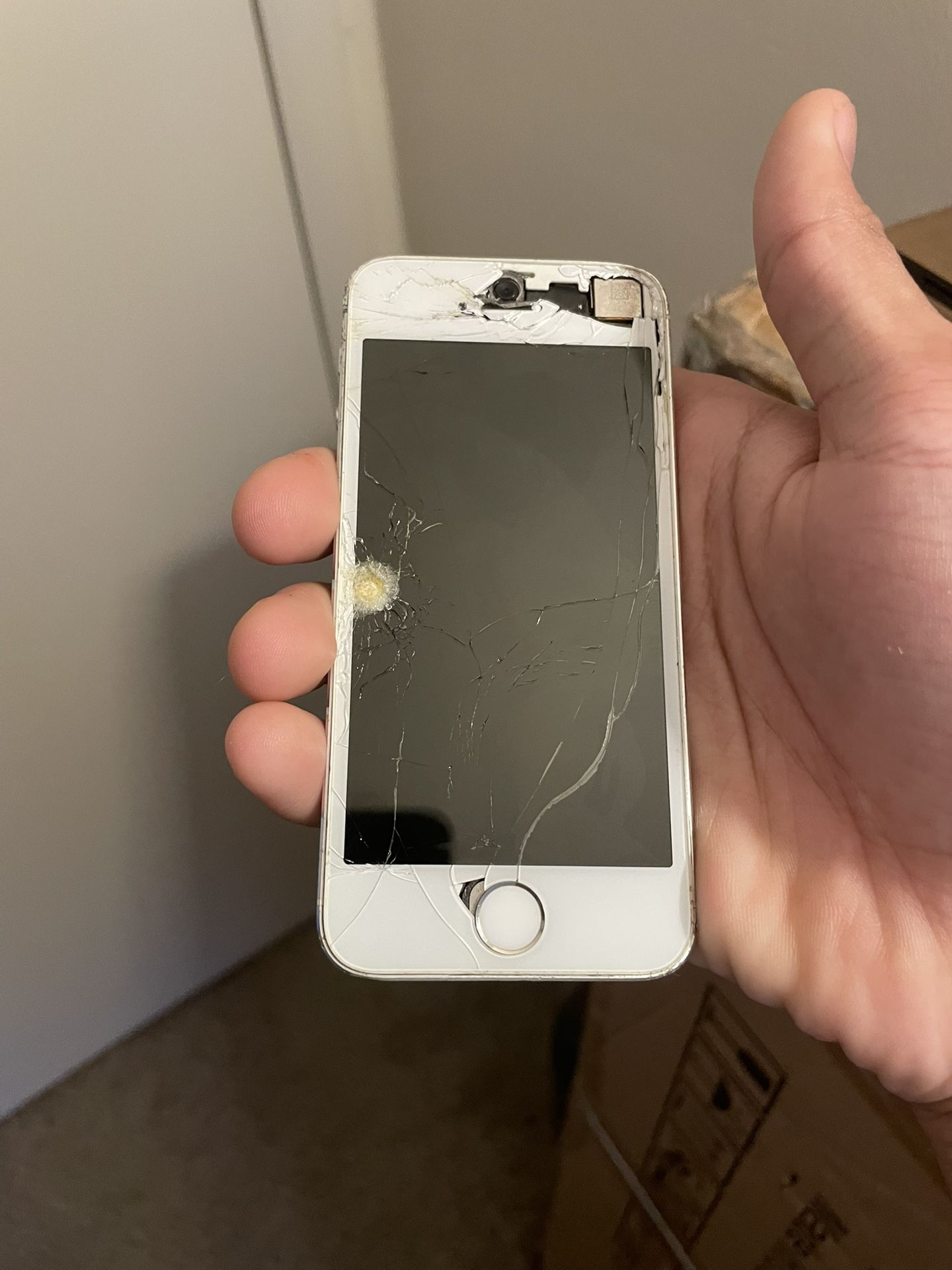 iPhone 5