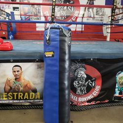 Punching Bag 