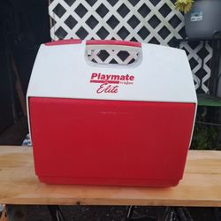 Igloo ice cooler 16 QT 30 cans