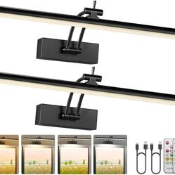 2 Pack Picture Lights for Wall Battery Operated, 16 inch Wireless Art Lighting for Painting, 6 Colors Picture Frame Lights with Remote, Dimmable 5200m
