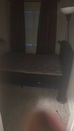 Queen Mattress must go