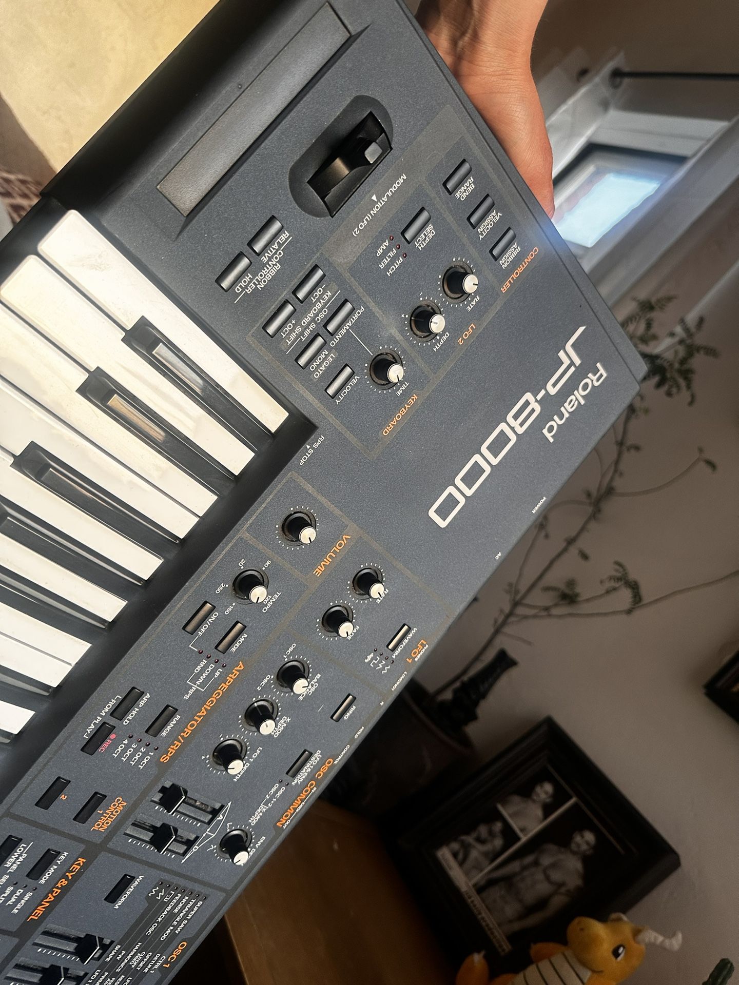 Roland JP 8000 49 Key Synthesizer Synthesizers & Effects