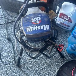 sprayer magnum   dx painter