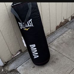 Everlast Punch 