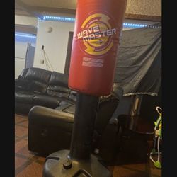 Punching Bag