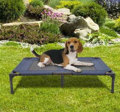 Portable Elevated Large Dog Bed