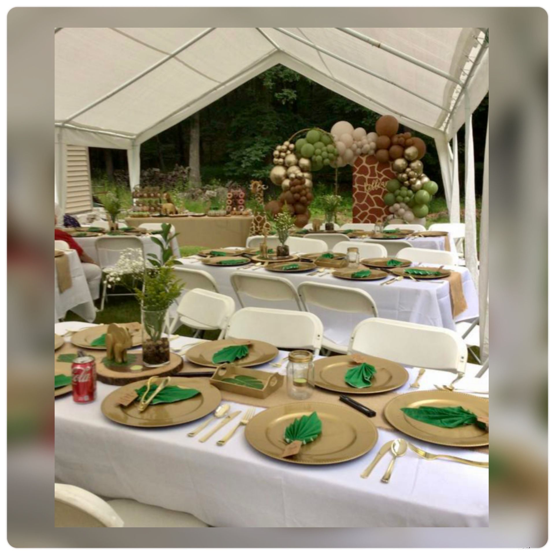 Baby Shower deco - Safari balloons Decoration