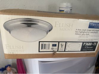 $20  ceiling light