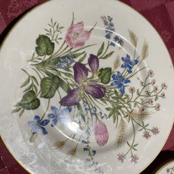 Beautiful Mariposa Meadows  Fine China