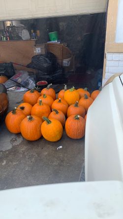 Last call for pumpkins