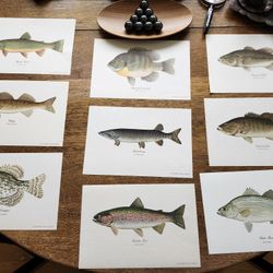 SCARCE (9) Vintage Heddon Famous Collections Color Fish Prints