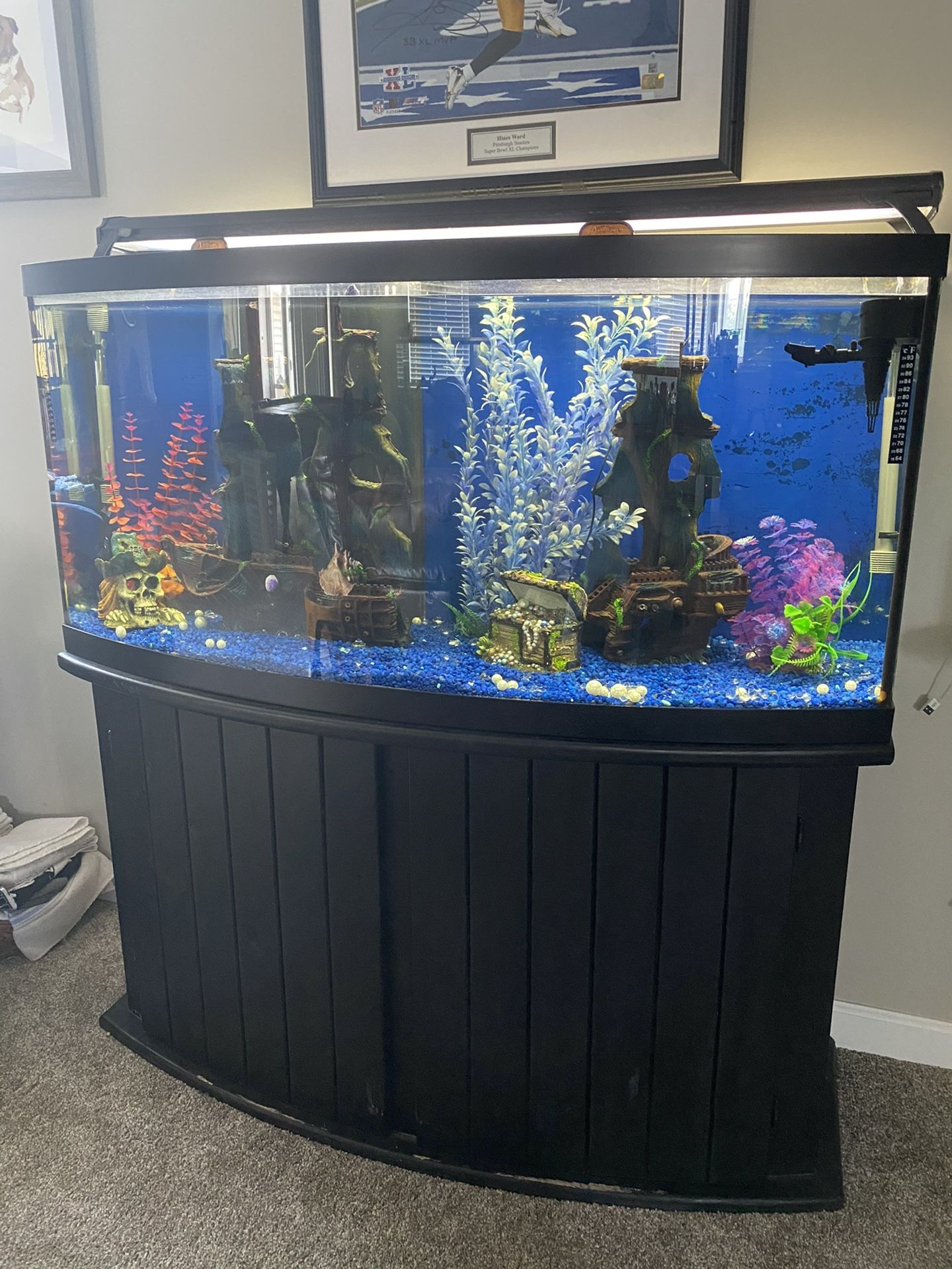 72 Gal Bowfront Tank With 30 Gal Subterfuge Filter Tank