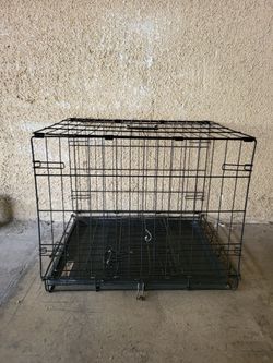 Dog Kennel
