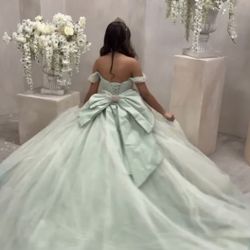 Quinceañera/ Sweet 16 Dress 
