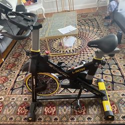 L-NOW Standing Bicycle 