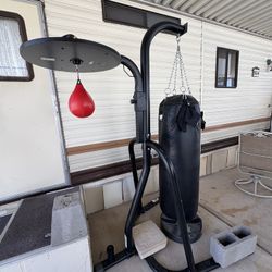 Dual Punching Bag