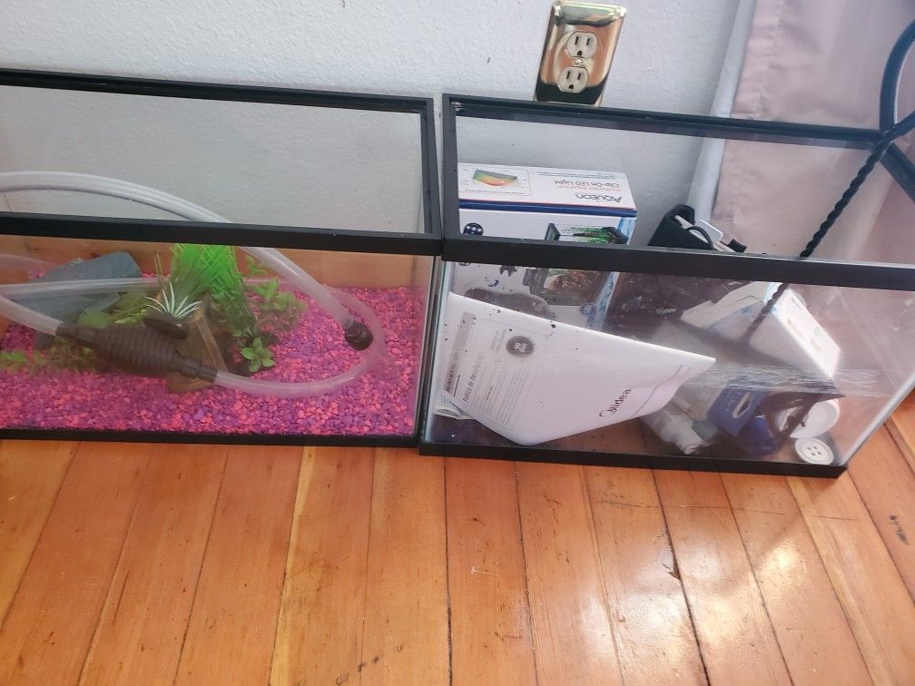 Fish Tank