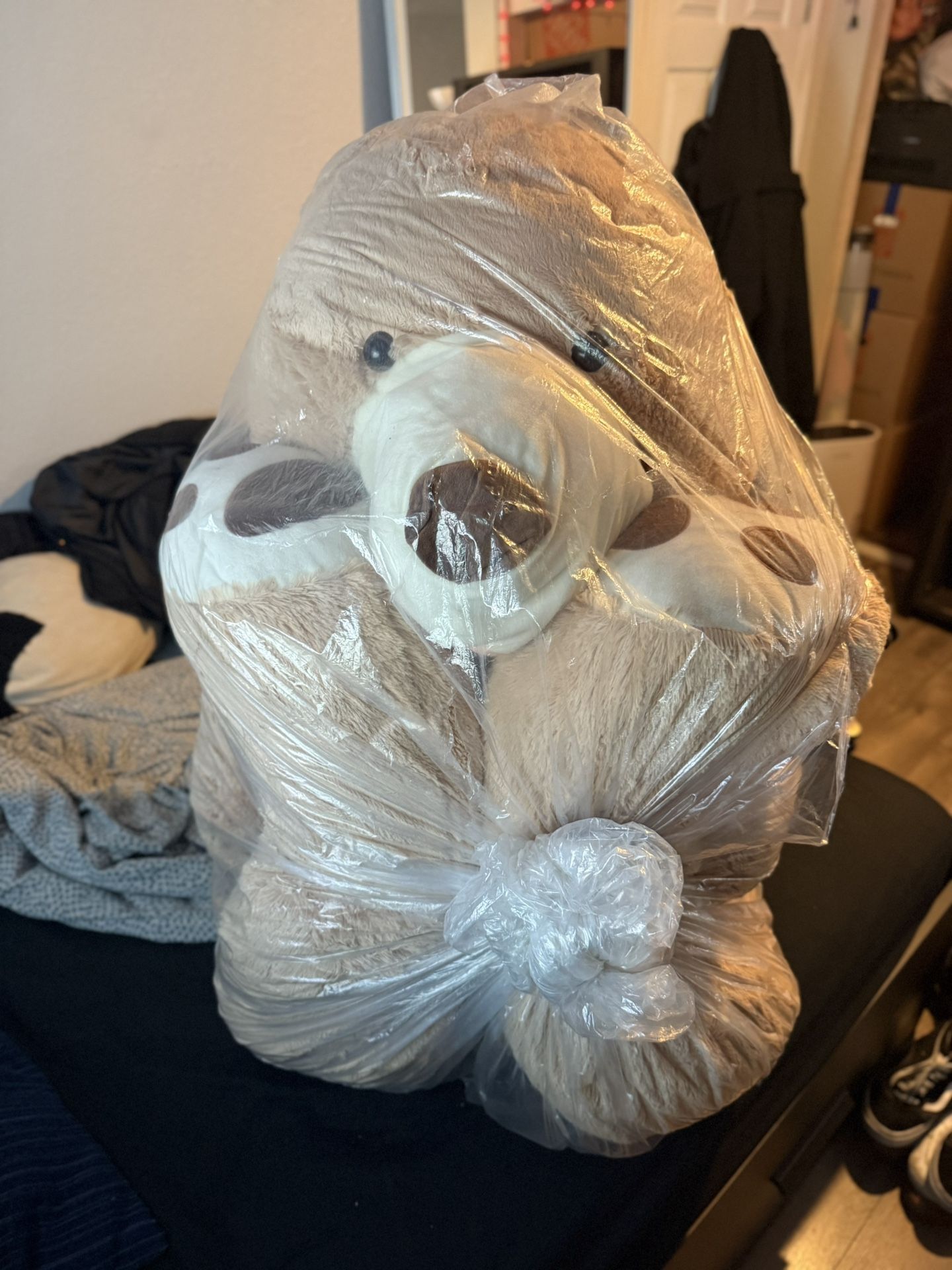 Big Ass Teddy Bear
