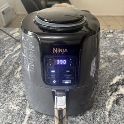 Ninja Air Fryer 