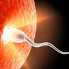 Starz Riderz