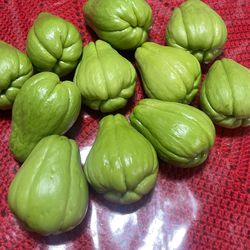 Chayote