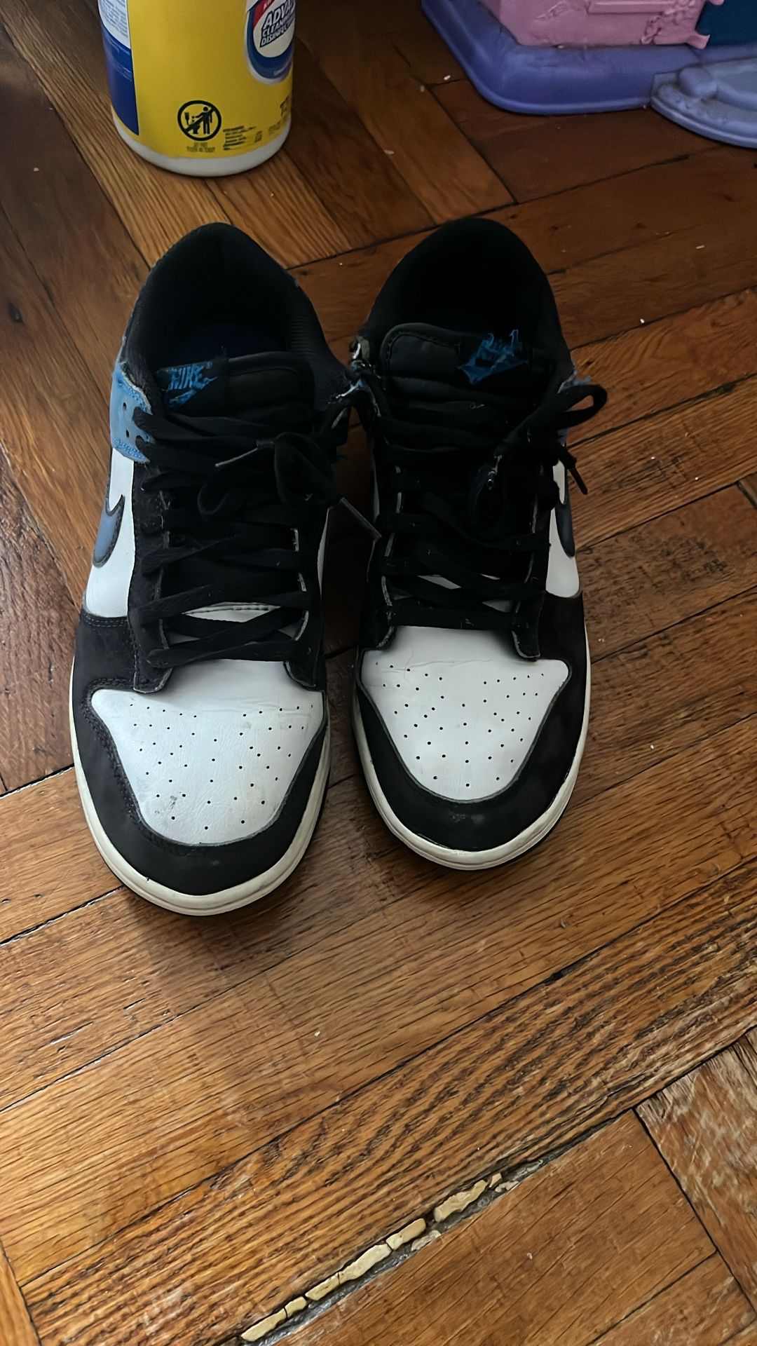Jordan Dunks Nas
