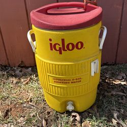 Igloo water cooler