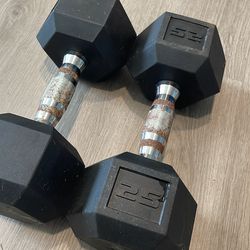 25lb weights