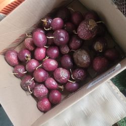 Maracuya, Passion Fruit