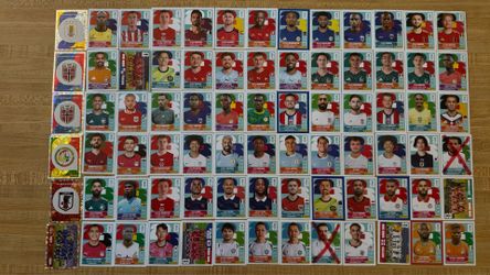 Panini world cup stickers 2026