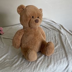 Huge Teddy Bear